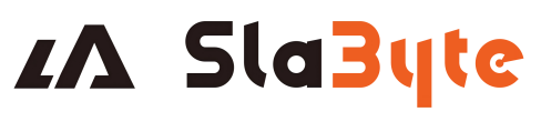 SlaByte标志png-2(1).png